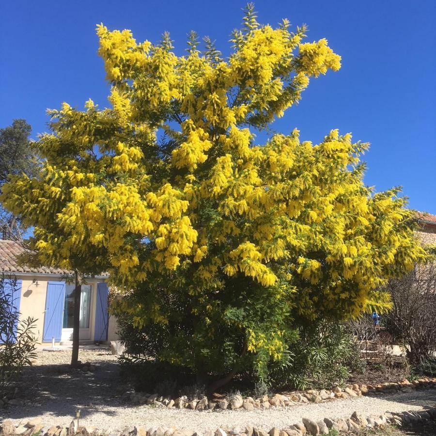 مبيت وإفطار Bollène Mas De Costebelle المظهر الخارجي الصورة